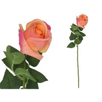 ROSA NATURAL CM.58 