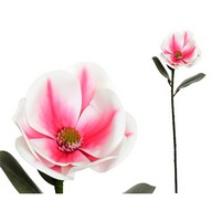 MAGNOLIA TOCCO REALE CM.65