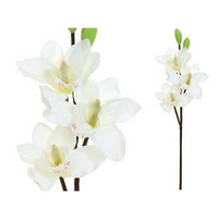 CYMBIDIUM RAMO 3 FIORI CM.52