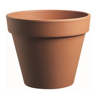VASO COCCIO STANDARD CM.21