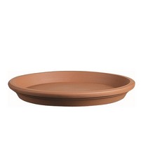 SOTTOVASO COCCIO CM.19