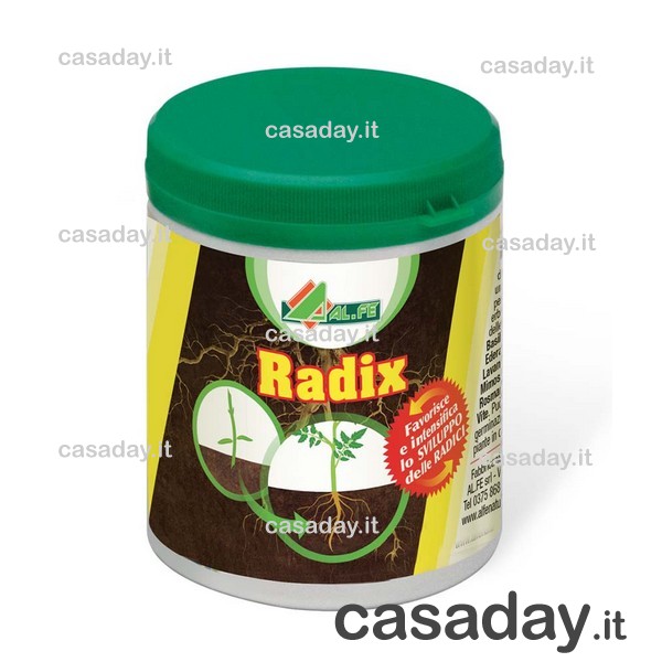 POLVERE RADICANTE RADIX g.80 