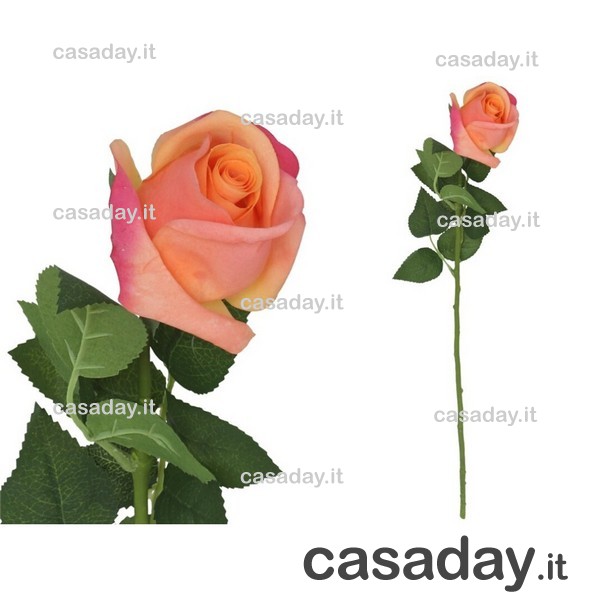 ROSA NATURAL CM.58 