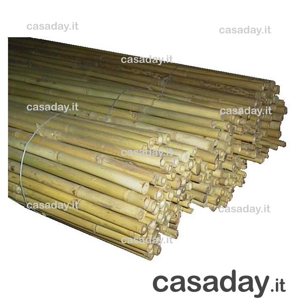CANNA BAMBOO CM.210 D28-30 
