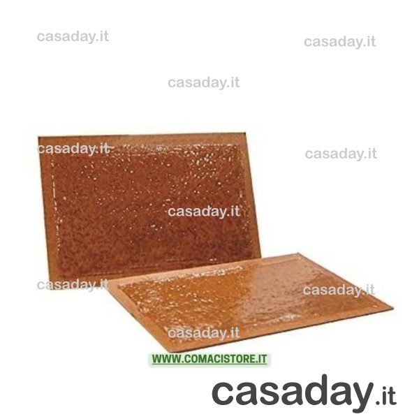 TRAPPOLA PER TOPI ADESIVA 19X14 PZ.2 