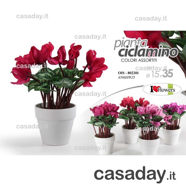 CICLAMINO CON VASO H.36 D.15 